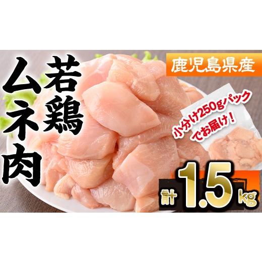 ふるさと納税 鶏肉 ムネ 鹿児島県 曽於市 鹿児島県産若鶏ムネ肉(計1.5kg・250g×6P) 若鶏 ムネ 冷凍 株式会社羽根