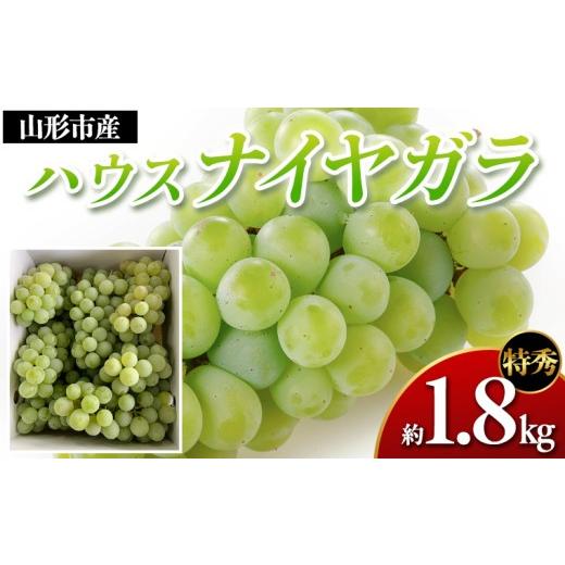 ふるさと納税 ぶどう 山形県 山形市 山形市産 ハウスナイヤガラ 特秀 約1.8kg Lサイズ(6〜8房) FY26-009