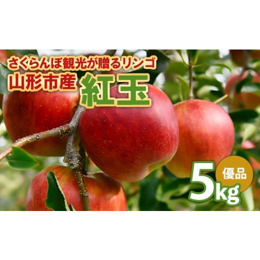 ふるさと納税 りんご 山形県 山形市 さくらんぼ観光が贈るリンゴ 紅玉 こうぎょく 優 5kg FY26-040
