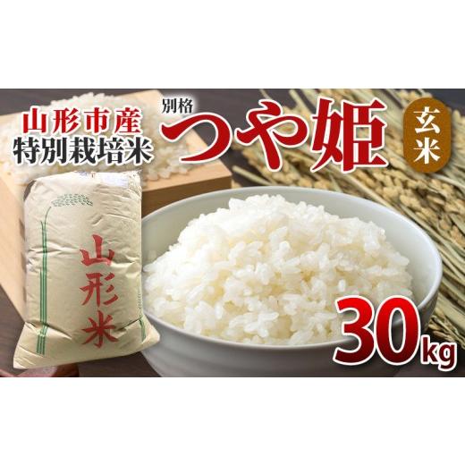 ふるさと納税 米 つや姫 山形県 山形市 特別栽培米 つや姫 玄米30kg FY26-068