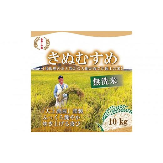 ふるさと納税 無洗米 鳥取県 北栄町 令和7年産 大上農園きぬむすめ 無洗米10kg