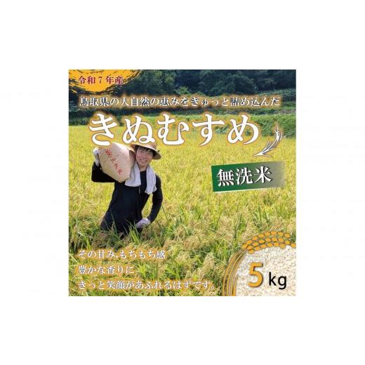 ふるさと納税 無洗米 鳥取県 北栄町 令和7年 原田農園きぬむすめ無洗米5kg