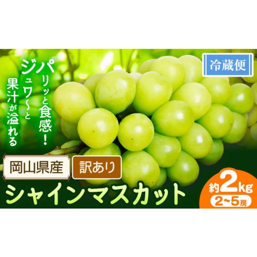 ふるさと納税 ぶどう マスカット 岡山県 浅口市 シャインマスカット訳あり 約500g(1~2房) 先行予約 花田青果株式会社[2026年9月上旬-10月末頃出荷]マスカッ…