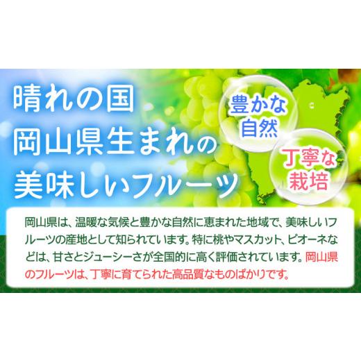 ふるさと納税 ぶどう マスカット 岡山県 浅口市 シャインマスカット訳あり 約500g(1~2房) 先行予約 花田青果株式会社《2026年9月上旬-10月末頃出荷》マスカッ…_2
