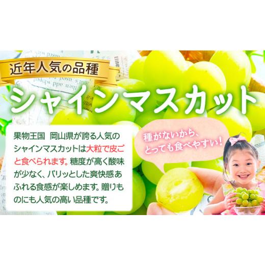 ふるさと納税 ぶどう マスカット 岡山県 浅口市 シャインマスカット訳あり 約500g(1~2房) 先行予約 花田青果株式会社《2026年9月上旬-10月末頃出荷》マスカッ…_3