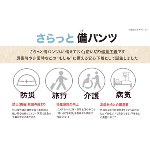 ふるさと納税 ファッション 岐阜県 岐阜市 さらっと備パンツ 10セット レディース用 サイズ：Ｌ 防災 災害 防災グッズ ショーツ 岐阜市 ／ビック宮田 ANEA014 …の画像