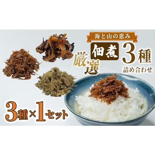 ふるさと納税 魚貝類 しらす 兵庫県 福崎町 厳選佃煮3種セット 海と山の恵み (計3袋) 国内産シラスのくぎ煮 65g ほたて貝ひもとキクラゲ 80g 生炊きちりめん山…