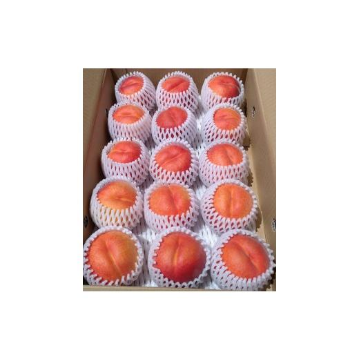 ふるさと納税 果物類 長野県 長野市 2026年発送 長野市産 旬の桃ワッサー 約5kg