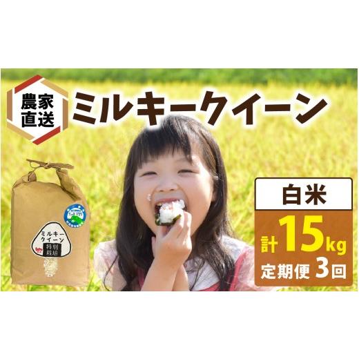 ふるさと納税 米 ミルキークイーン 福井県 南越前町 先行予約 3ヶ月連続お届け 令和8年産 新米 農家直送 ミルキークイーン 5kg×1袋×3ヶ月(計15kg)白米 20…