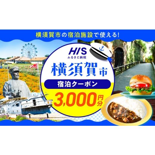 ふるさと納税 体験チケット 神奈川県 横須賀市 HISふるさと納税クーポン3,000円分 横須賀市/ 株式会社エイチ・アイ・エス