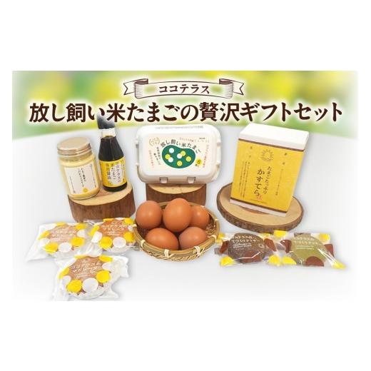 ふるさと納税 菓子 カステラ 愛知県 常滑市 放し飼い米たまごの"贅沢"ギフトセット|放し飼い米たまご マドレーヌ クッキー マヨネーズ カステラ 醤油 たま…