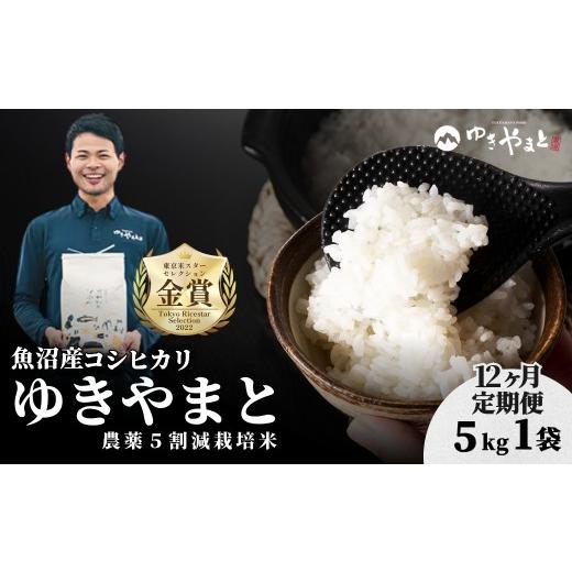 ふるさと納税 米 コシヒカリ 新潟県 津南町 令和8年産 コシヒカリ 先行予約 12ヶ月定期便 魚沼産コシヒカリ「ゆきやまと」特別栽培米 5kg (5kg×1袋) 節減対…