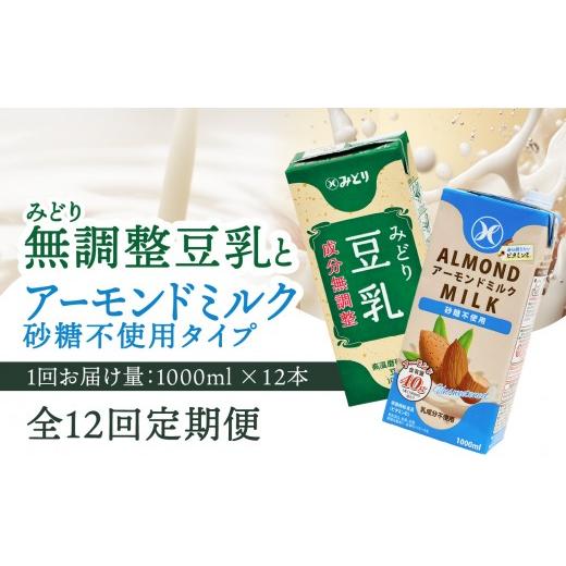 ふるさと納税 牛乳・乳飲料 大分県 大分市 先行予約 2026年6月より発送開始 毎月配送 みどり豆乳 成分無調整 1000ml×12本+みどりアーモンドミルク 砂糖不使…