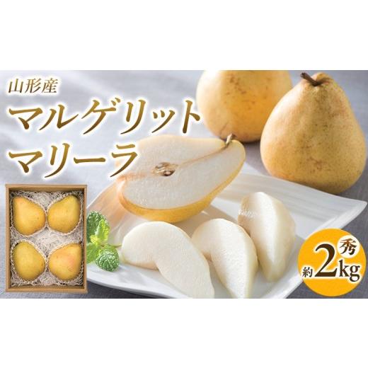 ふるさと納税 梨 山形県 山形市 山形県産 マルゲリットマリーラ 秀 約2kg(4〜6個) FY26-042