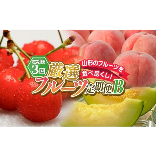 ふるさと納税 果物類 さくらんぼ 山形県 山形市 定期便3回 山形のフルーツを食べ尽くし 厳選フルーツ定期便B FY26-064