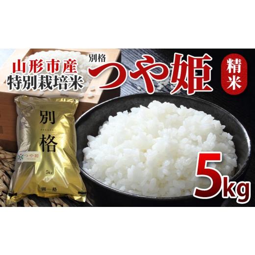 ふるさと納税 米 つや姫 山形県 山形市 特別栽培米 つや姫 精米5kg FY26-069