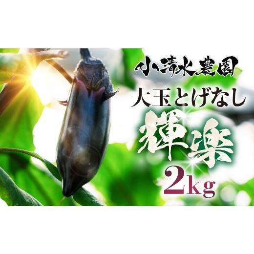 ふるさと納税 野菜類 茄子 愛知県 豊橋市 [先行予約]大玉なす とげなし輝楽 2kg 茄子 なす ナス 旨い 甘い 艶 ツヤ ハリ 揚げ物 揚げ茄子 焼茄子 麻婆茄子 …