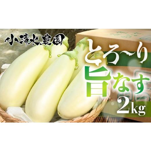 ふるさと納税 野菜類 茄子 愛知県 豊橋市 [先行予約]とろ〜り旨なす 2kg 茄子 なす 白茄子 白なす 白ナス ナス 旨い 甘い 艶 ツヤ ハリ 揚げ物 揚げ茄子 焼…