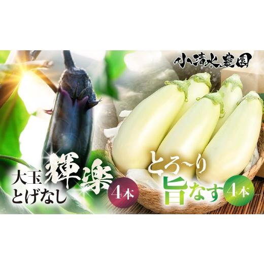 ふるさと納税 野菜類 茄子 愛知県 豊橋市 [先行予約]とげなし輝楽×とろ〜り旨なす 食べ比べセット 各4本 計8本 茄子 なす 白茄子 白なす 白ナス ナス 旨い …