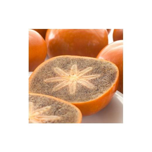 ふるさと納税 果物類 柿 和歌山県 太地町 先行予約 秋の美味 和歌山ブランド 和歌山柿 濃厚 紀ノ川柿 10〜18玉入り GO-05 2026年10月下旬〜11月中旬頃に…