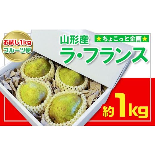 ふるさと納税 梨 山形県 山形市 お試し1kgフルーツ便 ちょこっと企画 ラ・フランス 秀品 約1kg(2〜4玉程度) FY26-053