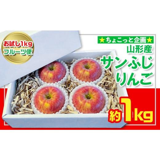 ふるさと納税 りんご 山形県 山形市 お試し1kgフルーツ便 ちょこっと企画 サンふじりんご 秀品 約1kg(2〜4玉程度) FY26-055