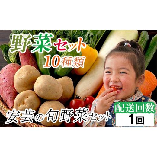 ふるさと納税 セット・詰合せ 高知県 安芸市 「安芸ブランド」新鮮お野菜詰め合わせセット 10種類 | 人気 野菜 詰合せ 詰め合わせ セット 新鮮野菜 詰め合わせ…