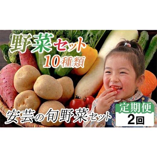 ふるさと納税 セット・詰合せ 高知県 安芸市 定期便2回 「安芸ブランド」新鮮お野菜詰め合わせセット 10種類 | 人気 野菜 詰合せ 詰め合わせ セット 新鮮野菜…
