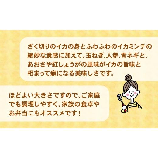 ふるさと納税 いか 岩手県 陸前高田市  5月送りとどける 内野ゴロっといかメンチ 60g×40個 メンチカツ 惣菜 お弁当 おかず いか たっぷり 飾り気の無い 膳だて お好み焼き風 いか RT…
