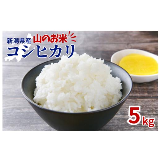 ふるさと納税 米 コシヒカリ 新潟県 見附市 山のお米 新潟県産コシヒカリ5kg