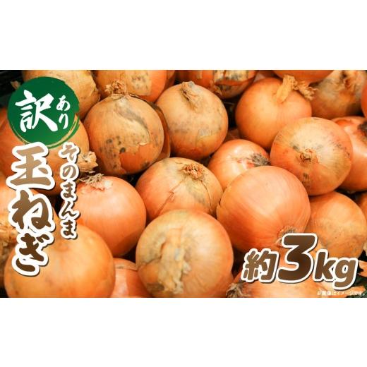 ふるさと納税 ねぎ・玉ねぎ 香川県 三木町 訳ありそのまんま玉ねぎ 約3kg |玉ねぎ 野菜 甘い オニオン 香川 香川県 三木町 みずみずしい 訳あり 生産者応援 ご…
