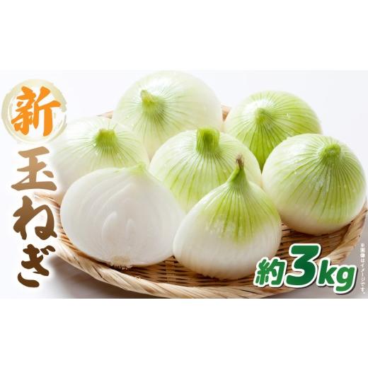 ふるさと納税 ねぎ・玉ねぎ 香川県 三木町 この時期にしか味わえない、みずみずしく甘み豊かな「新玉ねぎ」約3kg |玉ねぎ 新玉ねぎ 野菜 甘い オニオン 香川 …
