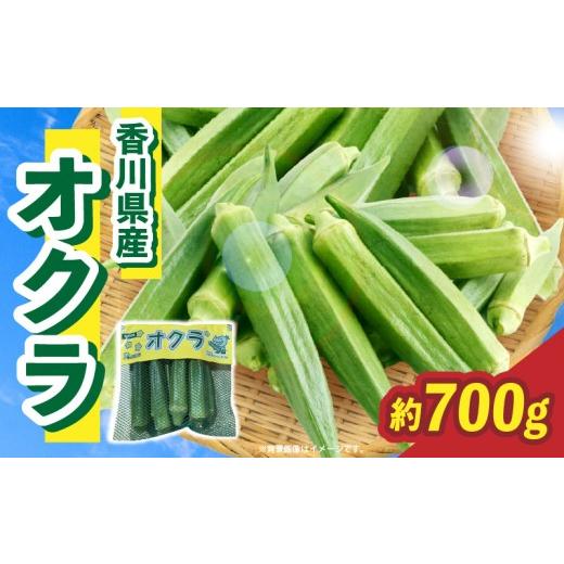 ふるさと納税 野菜類 香川県 三木町 オクラ 約700g |オクラ 野菜 ネバネバ 旬の野菜 旬 季節の野菜 季節 贈答 贈り物 ギフト プレゼント おすそ分け グルメ お…