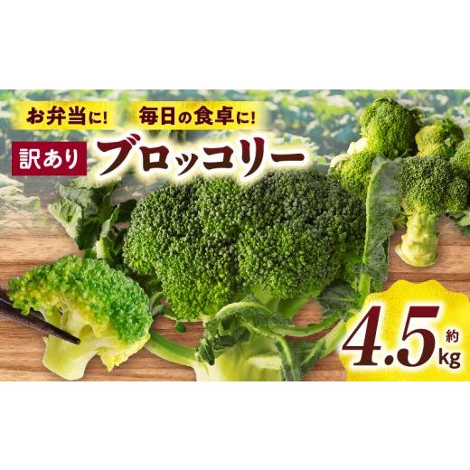 ふるさと納税 野菜類 香川県 三木町 訳ありブロッコリー 約4.5kg | ブロッコリー 野菜 食材 サラダ 料理 大きい 新鮮 生野菜 生鮮食品 栄養価が高い ご家庭用…