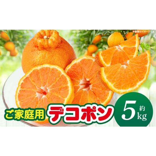 ふるさと納税 みかん・柑橘類 デコポン 香川県 三木町 先行予約 期間限定 甘みと酸味の共演・濃厚「デコポン」(ご家庭用)約5kg 香川県共通返礼品 | デコポ…