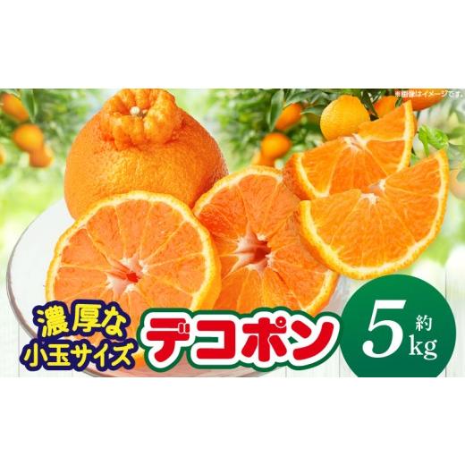 ふるさと納税 みかん・柑橘類 デコポン 香川県 三木町 先行予約 期間限定 甘みと酸味の共演・濃厚「デコポン」(濃厚な小玉サイズ)約5kg 香川県共通返礼品 |…