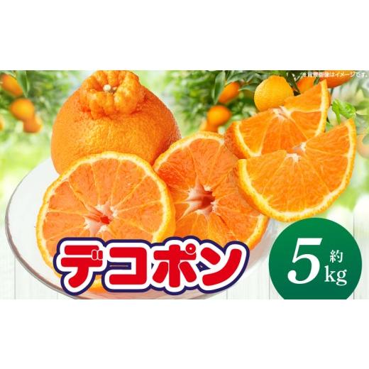 ふるさと納税 みかん・柑橘類 デコポン 香川県 三木町 先行予約 期間限定 甘みと酸味の共演・濃厚「デコポン」約5kg 香川県共通返礼品 | デコポン 甘い 酸味 …