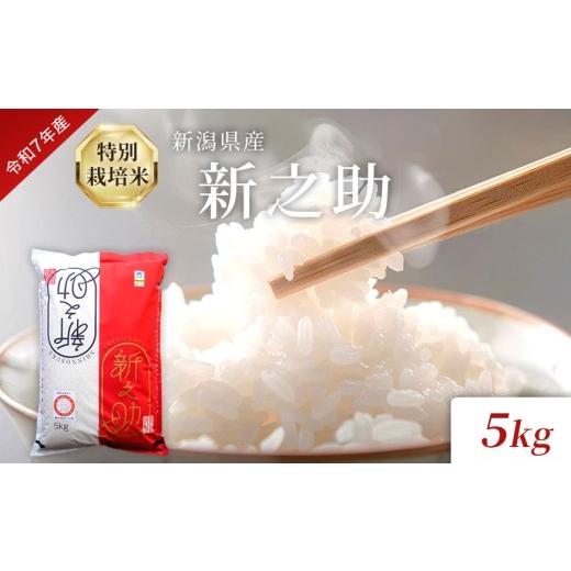 ふるさと納税 米 新潟県 見附市 令和7年度産 新潟県産特別栽培米新之助(白米)5kg