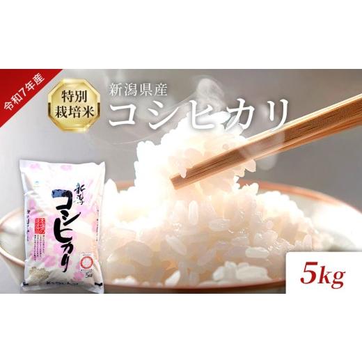 ふるさと納税 米 コシヒカリ 新潟県 見附市 令和7年産 特別栽培米 新潟県産コシヒカリ(白米)5kg