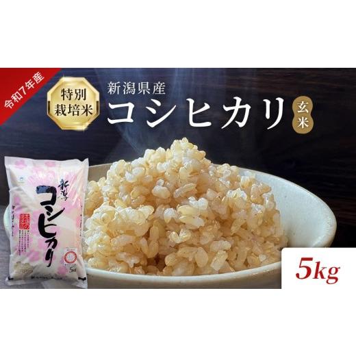ふるさと納税 玄米 新潟県 見附市 令和7年産 特別栽培米 新潟県産コシヒカリ(玄米)5kg