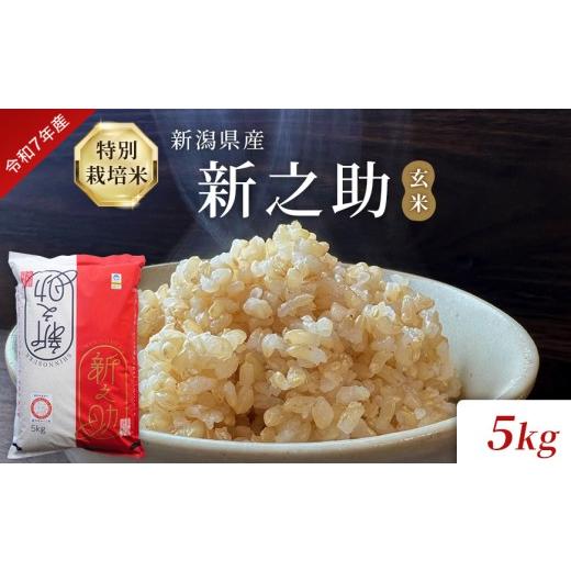 ふるさと納税 玄米 新潟県 見附市 令和7年度産 新潟県産特別栽培米新之助(玄米)5kg