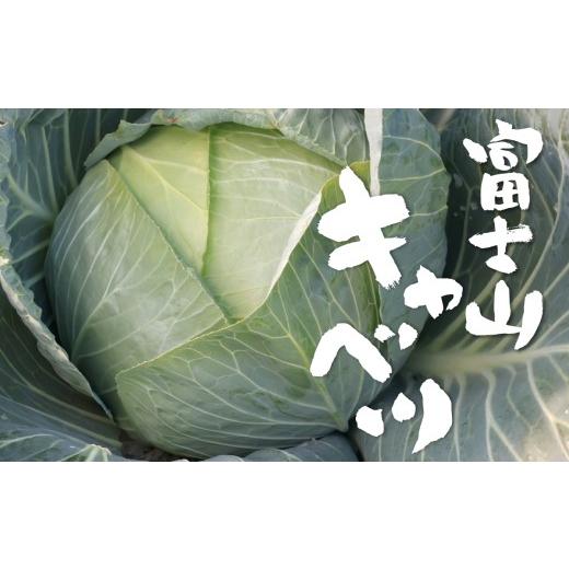 ふるさと納税 野菜類 山梨県 大月市 2026年出荷分先行予約 富士山キャベツ 3kg 3kg