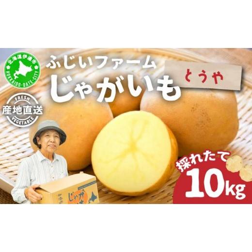 ふるさと納税 野菜類 じゃがいも 北海道 伊達市 先行予約 北海道産 じゃがいも(とうや) 約10kg hjf-004 ジャガイモ 馬鈴薯 ポテト 芋 イモ 国産 野菜 人気 ふ…
