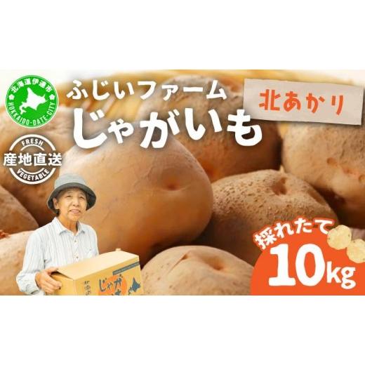 ふるさと納税 野菜類 じゃがいも 北海道 伊達市 先行予約 北海道産 じゃがいも(北あかり) 約10kg hjf-006 ジャガイモ 馬鈴薯 ポテト 芋 イモ きたあかり キタ…