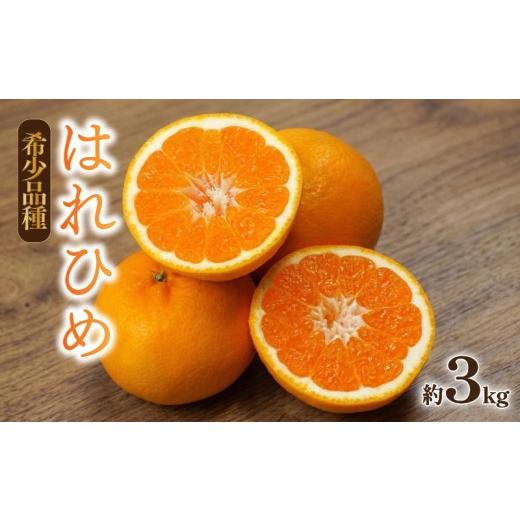 ふるさと納税 果物類 愛媛県 松山市 はれひめ 約3kg 2026年12月下旬頃から順次発送 | 晴姫 ハレヒメ 柑橘 はれひめ 蜜柑 ミカン mikan フルーツ 果物 みかん …