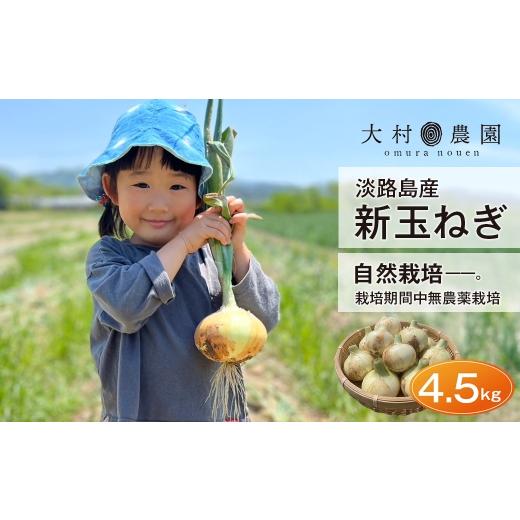 ふるさと納税 ねぎ・玉ねぎ 兵庫県 淡路市 新玉ねぎ 自然栽培 4.5kg (栽培期間中無農薬栽培) 玉ねぎ 産地直送 タマネギ 甘い 玉葱 旬 玉ねぎ野菜 オニオン