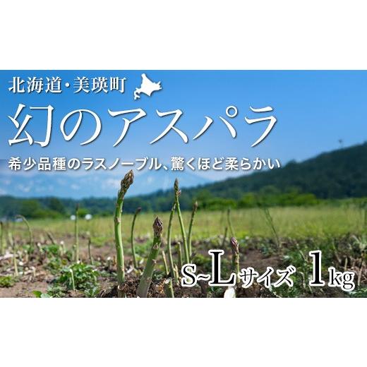 ふるさと納税 野菜類 アスパラガス 北海道 美瑛町 先行予約 令和8年産 幻のアスパラ「ラスノーブル」L〜Sサイズ 1kg グリーンアスパラ おおとり | グリーンア…