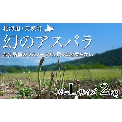 ふるさと納税 野菜類 アスパラガス 北海道 美瑛町 先行予約 令和8年産 幻のアスパラ「ラスノーブル」M〜Lサイズ 2kg グリーンアスパラ おおとり | グリーンア…