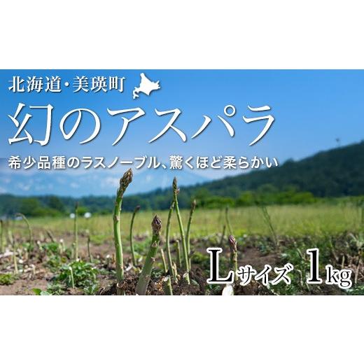 ふるさと納税 野菜類 アスパラガス 北海道 美瑛町 先行予約 令和8年産 幻のアスパラ「ラスノーブル」Lサイズ 1kg グリーンアスパラ おおとり | グリーンアス…
