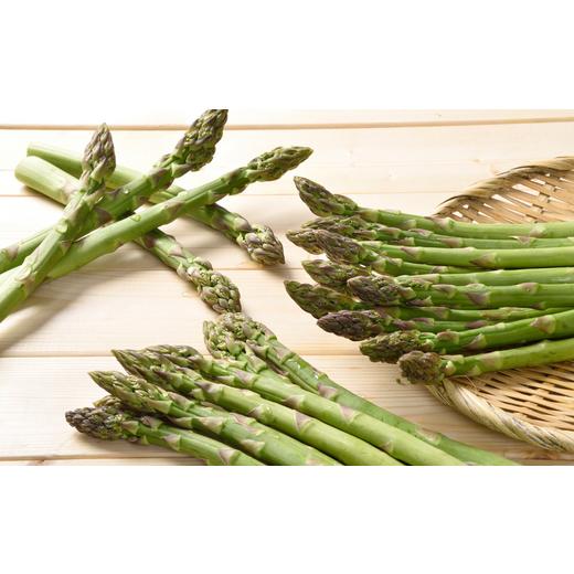 ふるさと納税 野菜類 アスパラガス 北海道 美瑛町 先行予約 令和8年産 グリーンアスパラ L〜Sサイズ 1kg おおとり | グリーン アスパラ アスパラガス ぐりー…